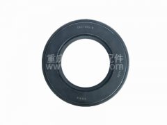 北方奔馳推力軸承（105）